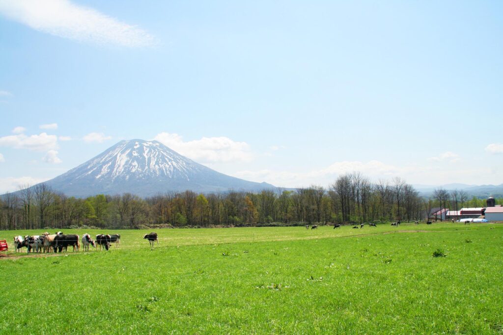 ニセコ高橋牧場